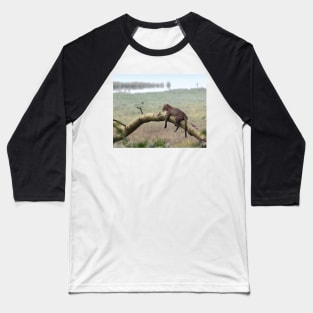 Leopard in the Rain, Lake Nakuru, Kenya Baseball T-Shirt